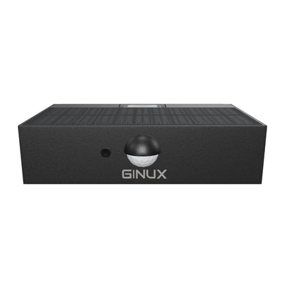 GINUX Ziegel 3W Solarlampe Outdoor ( 1x Shwarz)